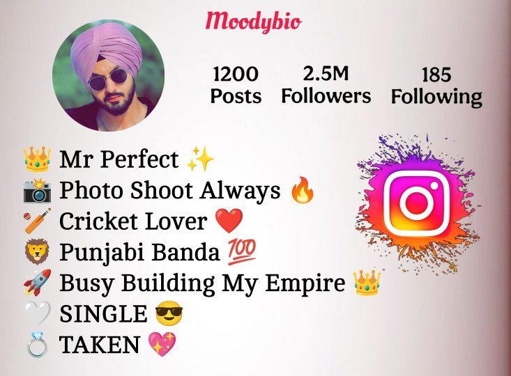 Instagram Bio In Punjabi