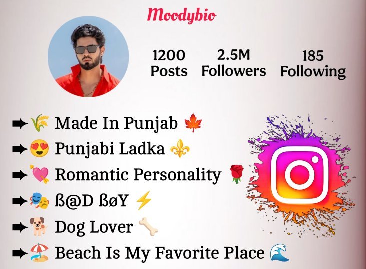 Instagram Bio In Punjabi