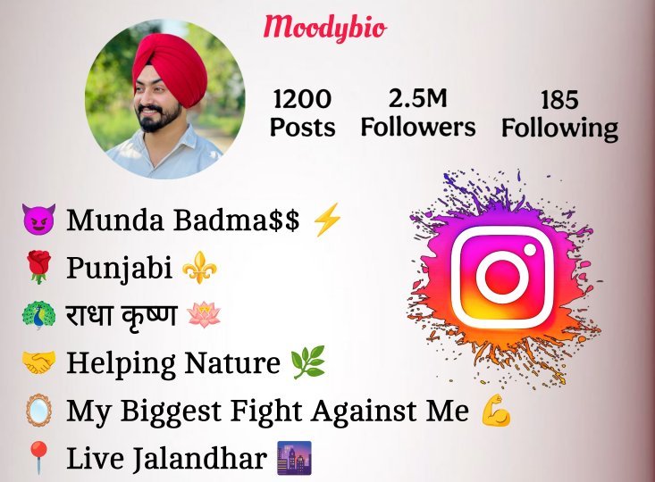 Instagram Bio In Punjabi