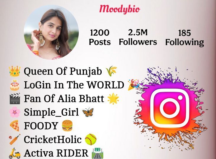 Instagram Bio In Punjabi