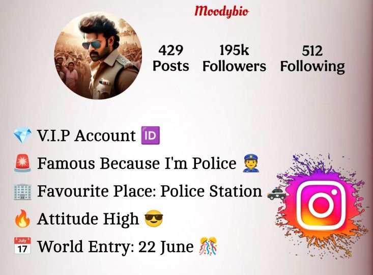 Police Bio For Instagram
